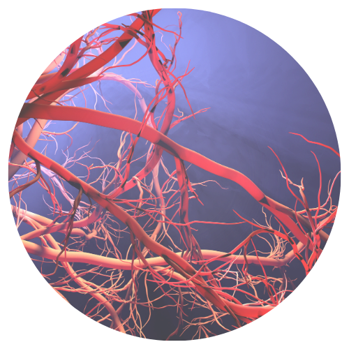 モヤモヤ血管治療